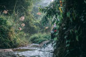 BIB: 
                            <button type="button" onclick="openModal(13716644)" class="btn btn-primary btn-sm float-right btn-popup" data-toggle="modal" data-target=".modal-high-quality">
                        <i class="fas fa-shopping-cart"></i> Add to Cart
                    </button>
                                            <button type="button" onclick="isThisMe(13716644, true)" class="btn btn-success btn-sm float-right btn-popup btn-isme hidden" data-toggle="tooltip" data-placement="bottom" title="นี่คือรูปของคุณใช่ไหม คลิกที่นี่เพื่อเอาเข้าอัลบั้ม">
                        <i class="fas fa-plus"></i> Add to album
                    </button>
                    <button type="button" onclick="isThisMe(13716644, false)" class="btn btn-warning btn-sm float-right btn-popup btn-isnotme hidden">
                        <i class="fas fa-ban"></i> Remove from album
                    </button>